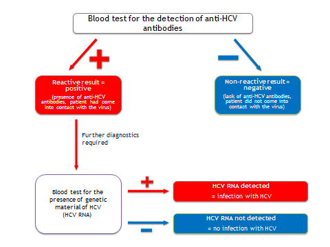 HCV