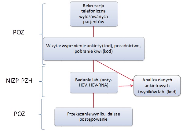 Ryc 1. Schemat Procedury wdrażania Projektu 1 w wyróżnieniem zadań realizowanych przez placówki POZ i NIZP - PZH